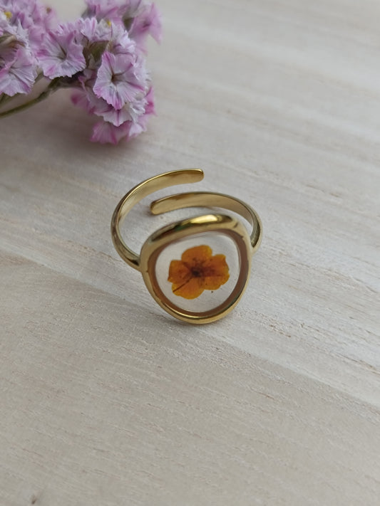 Bague Livy